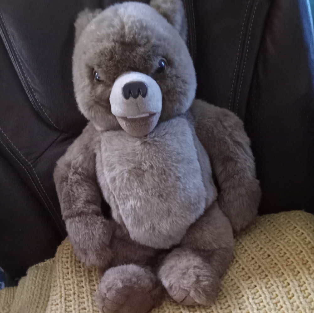 LITTLE BEAR from the book written by Else Minarik.....$50 OBO
